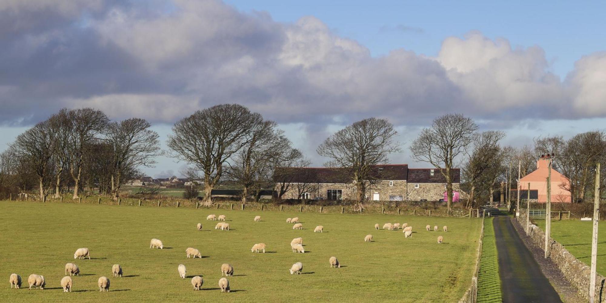 The Outbuildings Βίλα Newborough  Εξωτερικό φωτογραφία